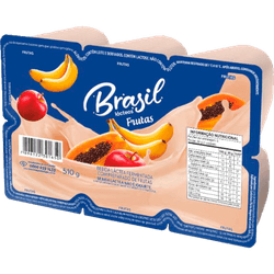BEBIDA LACTEA BRASIL 510ML SALADA DE FRUTAS